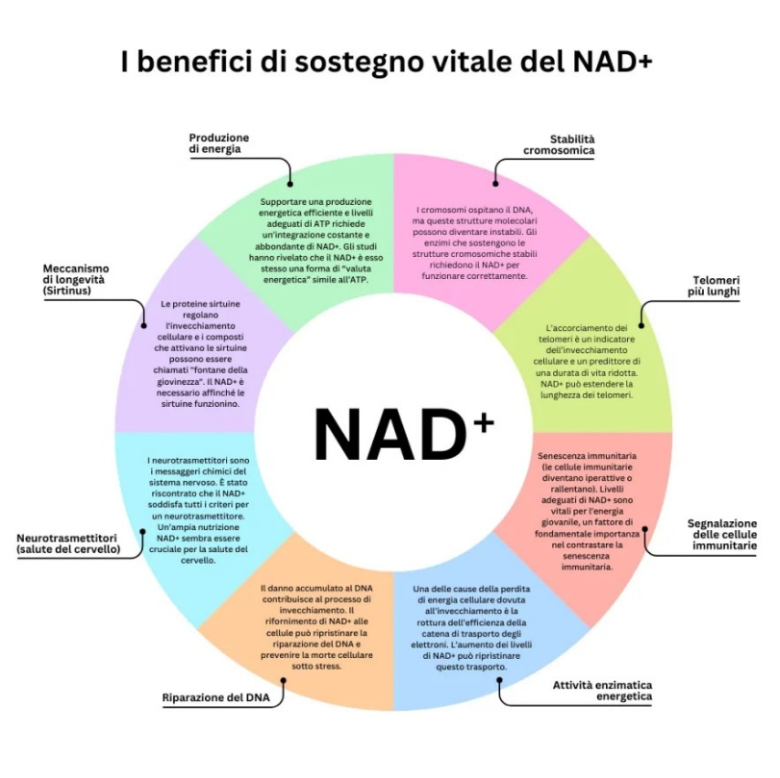 I benefici della Skin Longevity